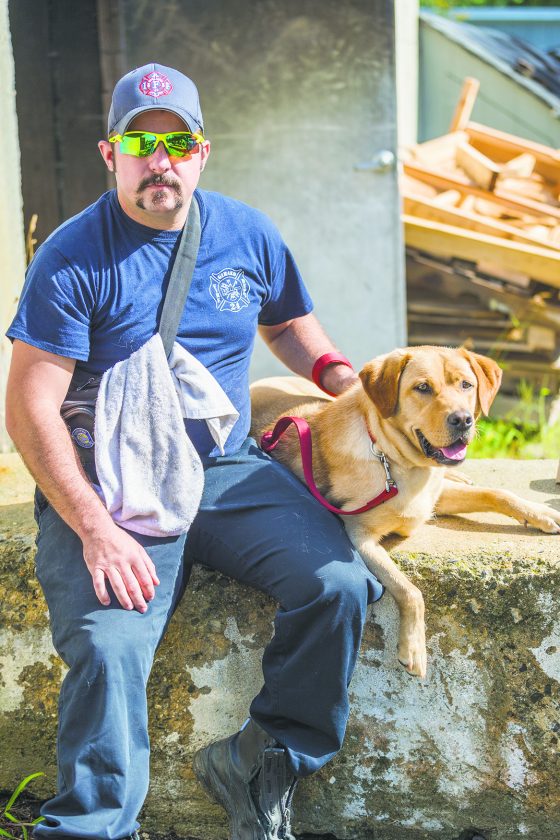 Arson dog takes charge in Valley | News, Sports, Jobs - Vimarsana News